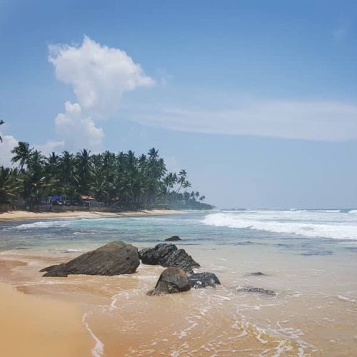 29088764_184272712296610_6325556086120120320_n