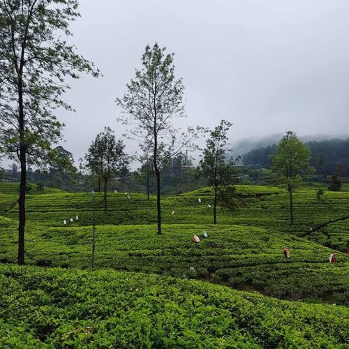 29594602_361955994309190_8462880015261784639_n